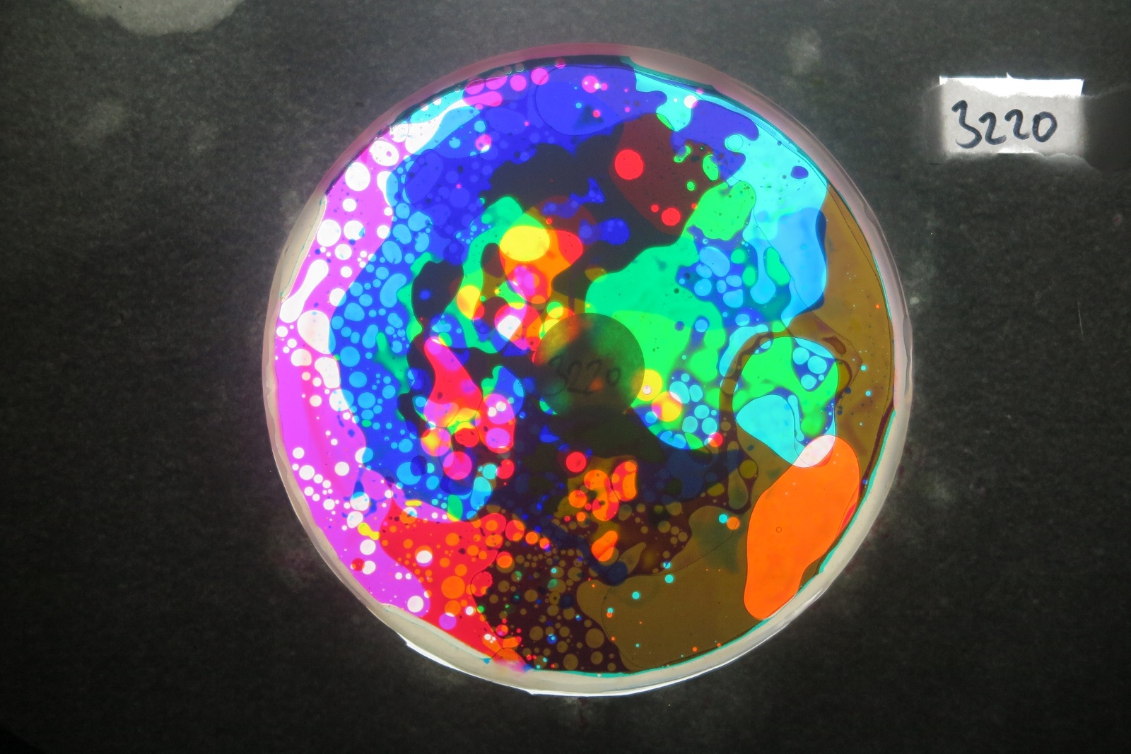 BV3220 bubble vision oil wheel